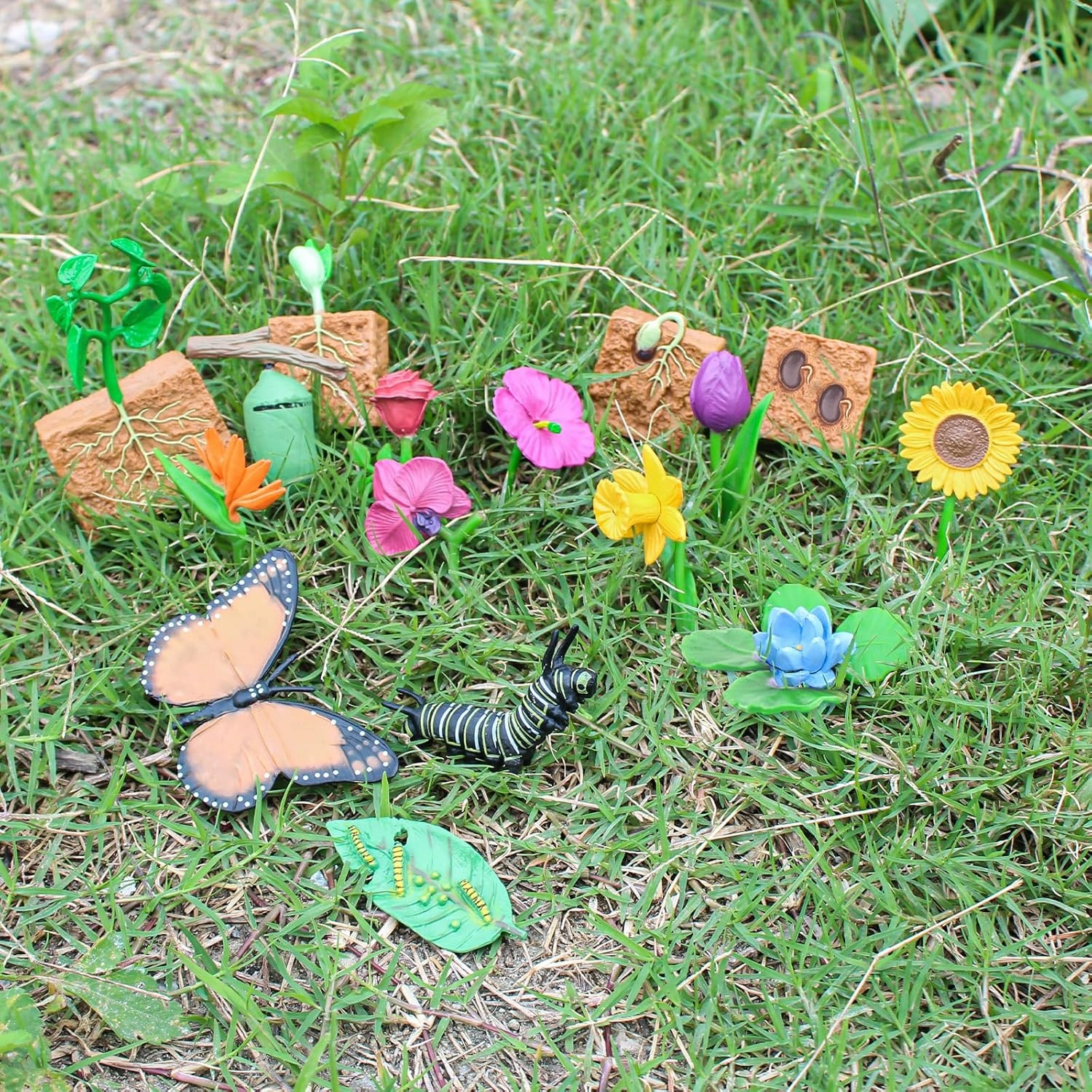 16PCS Butterfly Plant Growth Cycle Set Preschool Puzzle Gift Set Butterfly Pea Growth Cycle Flowers Desktop Decorations Party Decorations