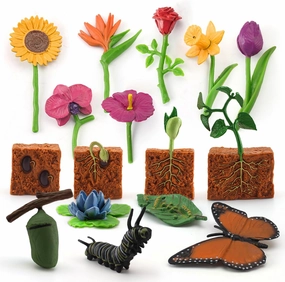 16PCS Butterfly Plant Growth Cycle Set Preschool Puzzle Gift Set Butterfly Pea Growth Cycle Flowers Desktop Decorations Party Decorations