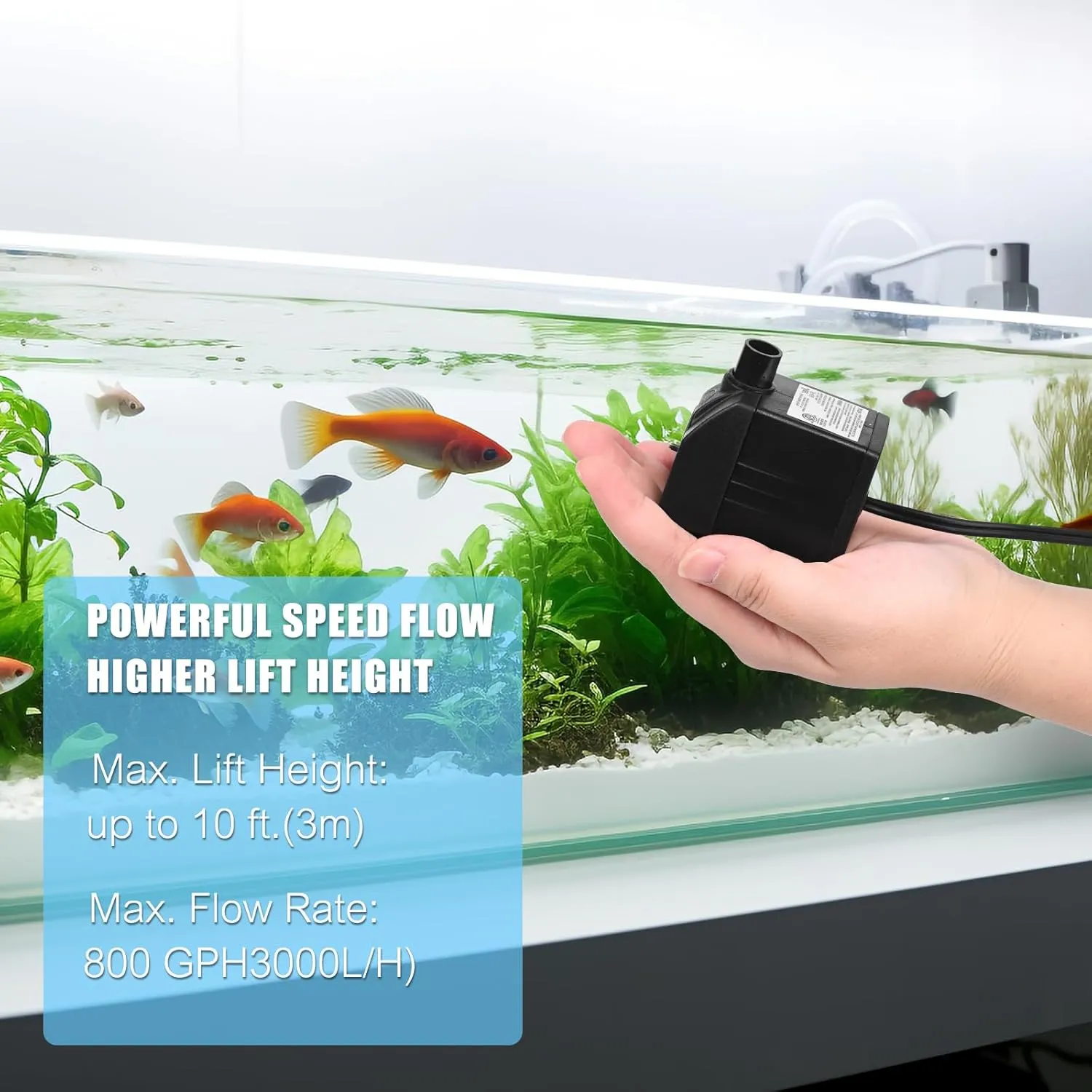 200 GPH Mini Submersible Water Pump(12W,800L/H) for water feature, Aquariums, Fish Tank, Tabletop Fountain, Pet Fountain, Indoor or Outdoor Pond Fountain