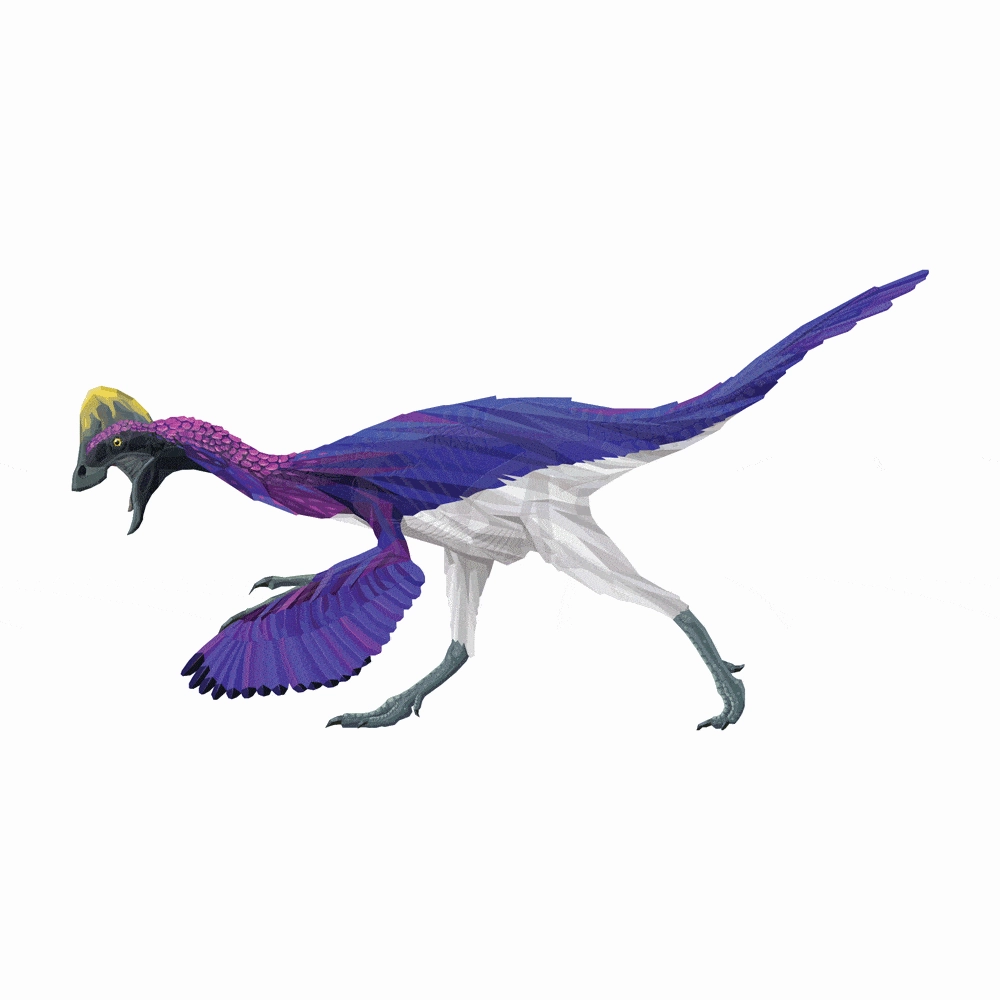 Anzu X-Ray 3D Collectible Dinosaur Card
