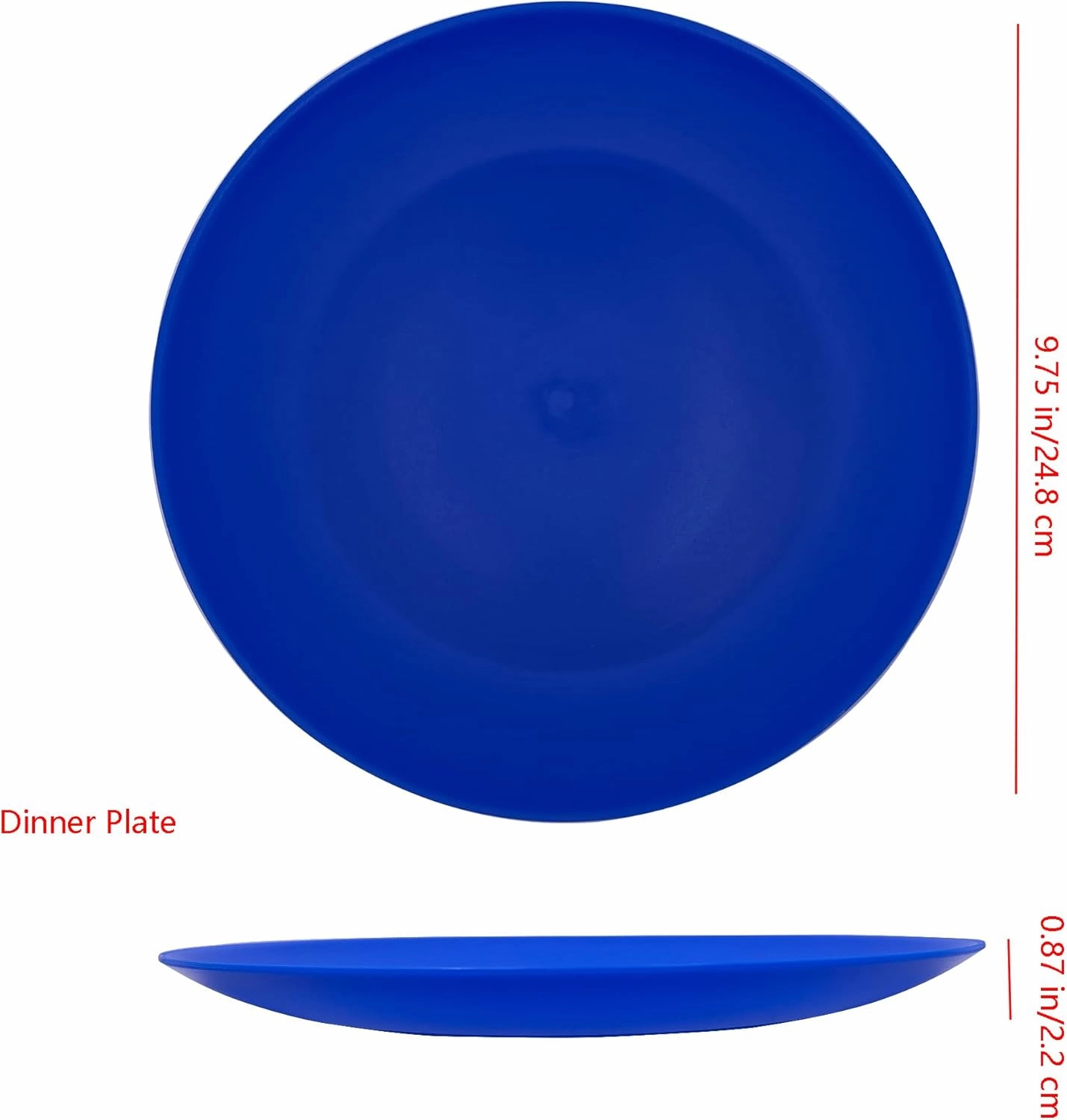 AOYITE Plastic Plates Reusable 10 inch, Unbreakable Dinner Plates set of 12, BPA Free Microwave & Dishwasher Safe Party Plate for Any Occasion, BBQ, Travel, Events (Coastal)