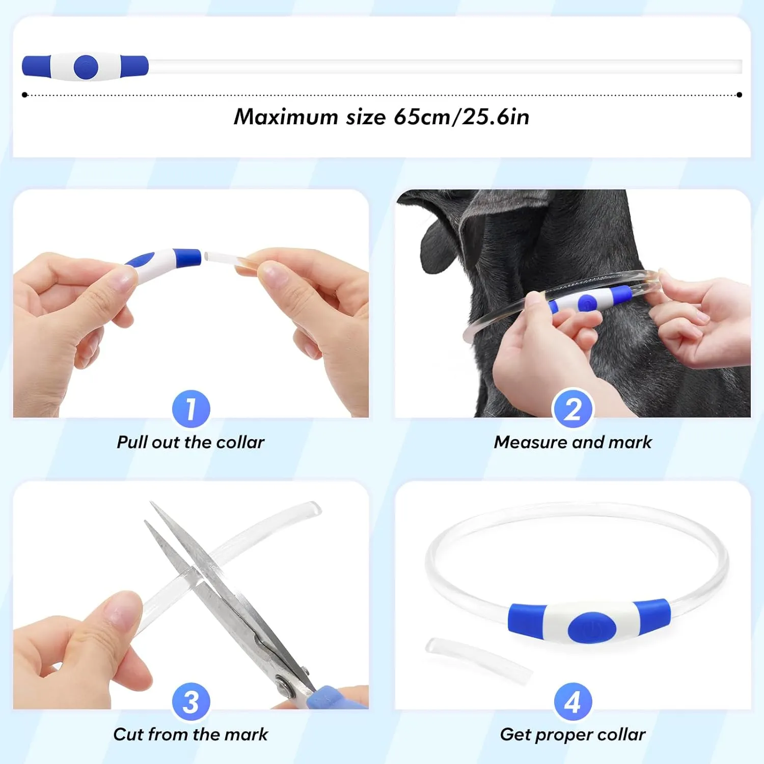 BSEEN Light Up Dog Collar - 360° Visible Rainproof LED Dog Collar Rechargeable - TPU Cuttable Glowing Pet Collar for Small Medium Large Dogs - Safety Dog Lights for Night Walking& Camping (Blue 70cm)