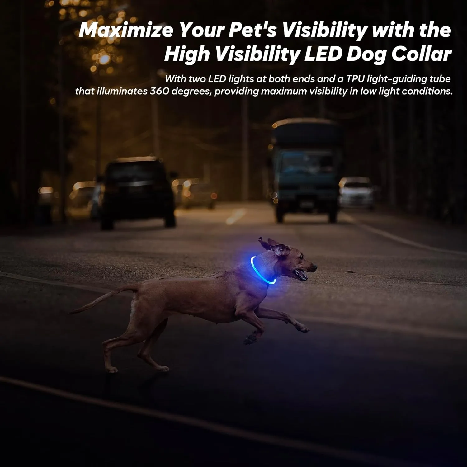 BSEEN Light Up Dog Collar - 360° Visible Rainproof LED Dog Collar Rechargeable - TPU Cuttable Glowing Pet Collar for Small Medium Large Dogs - Safety Dog Lights for Night Walking& Camping (Blue 70cm)