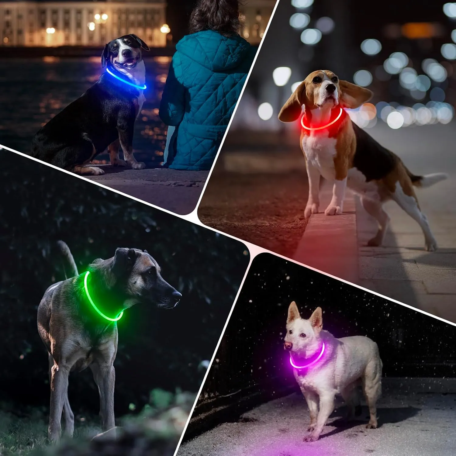 BSEEN Light Up Dog Collar - 360° Visible Rainproof LED Dog Collar Rechargeable - TPU Cuttable Glowing Pet Collar for Small Medium Large Dogs - Safety Dog Lights for Night Walking& Camping (Blue 70cm)