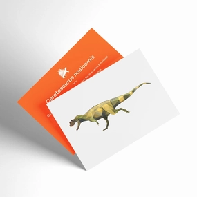 Ceratosaurus X-Ray 3D Collectible Dinosaur Card