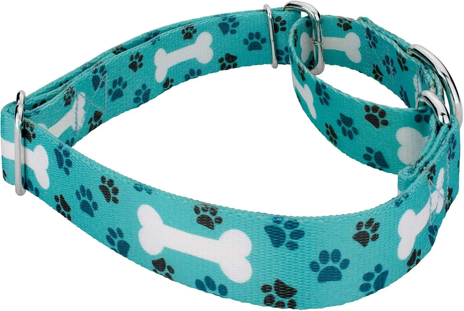 Country Brook Petz - Oh My Dog Martingale Dog Collar and Leash - Dog's Life Collection Featuring Playful Designs (1 Inch, Extra Large)