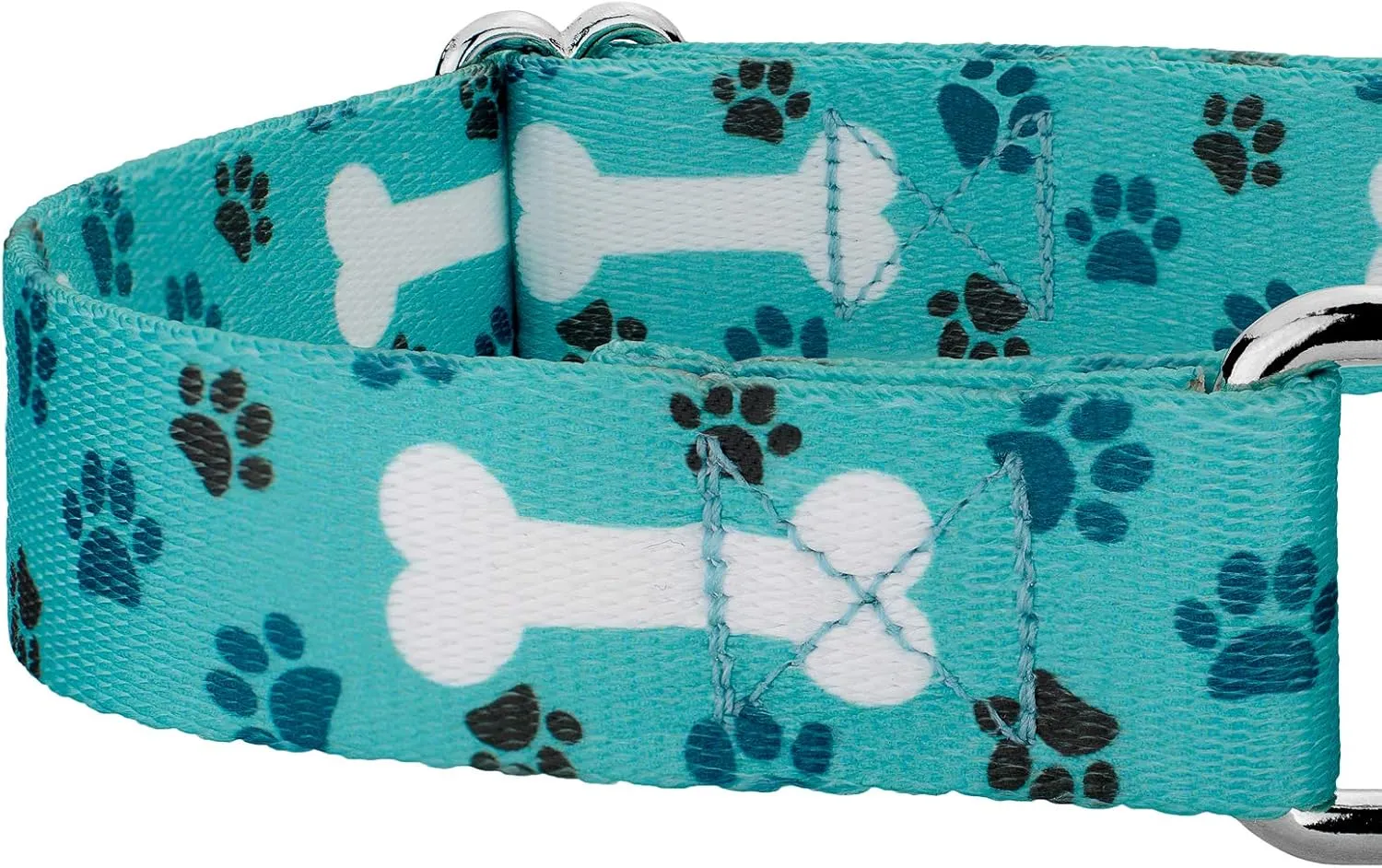 Country Brook Petz - Oh My Dog Martingale Dog Collar and Leash - Dog's Life Collection Featuring Playful Designs (1 Inch, Extra Large)