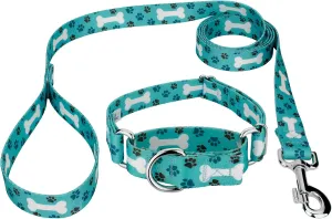 Country Brook Petz - Oh My Dog Martingale Dog Collar and Leash - Dog's Life Collection Featuring Playful Designs (1 Inch, Extra Large)