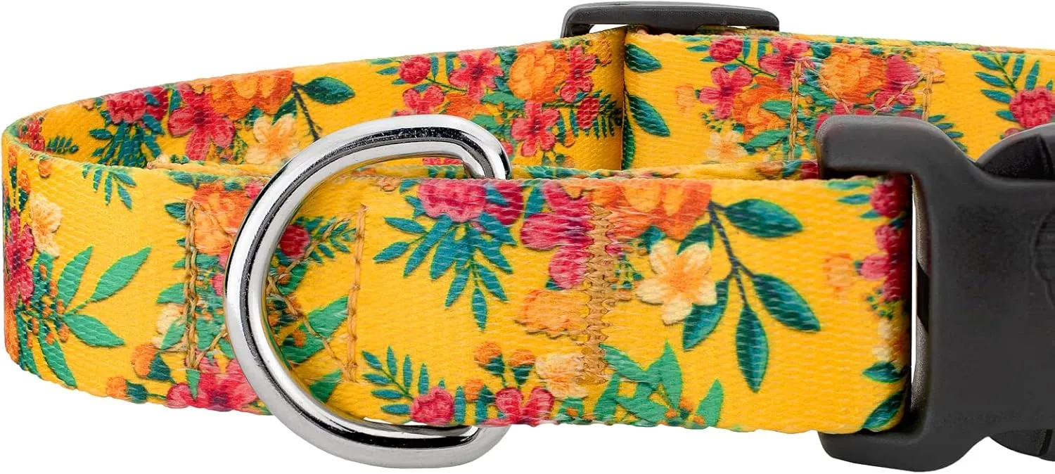 Country Brook Petz - Tropical Floral Deluxe Dog Collar and Leash Set - Summer Breeze Collection Featuring Sunny Designs (1 Inch, Large)