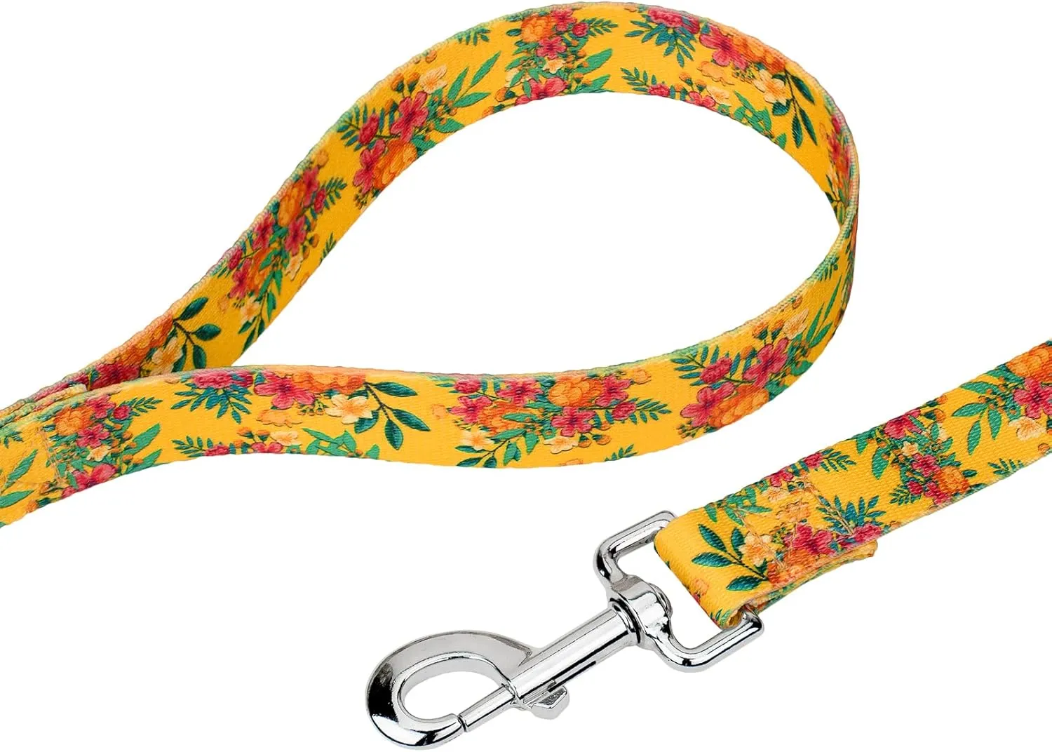 Country Brook Petz - Tropical Floral Deluxe Dog Collar and Leash Set - Summer Breeze Collection Featuring Sunny Designs (1 Inch, Large)