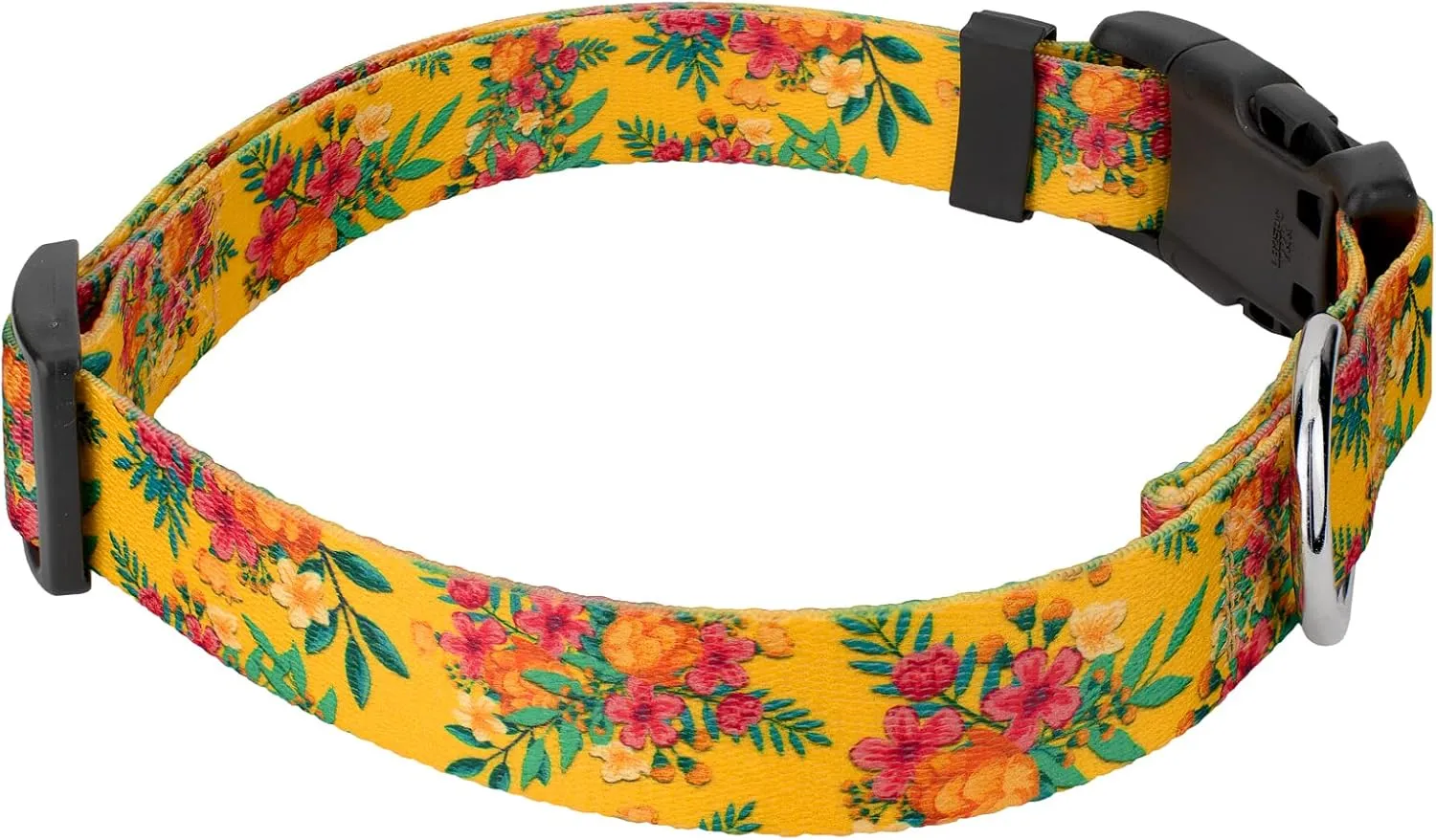Country Brook Petz - Tropical Floral Deluxe Dog Collar and Leash Set - Summer Breeze Collection Featuring Sunny Designs (1 Inch, Large)