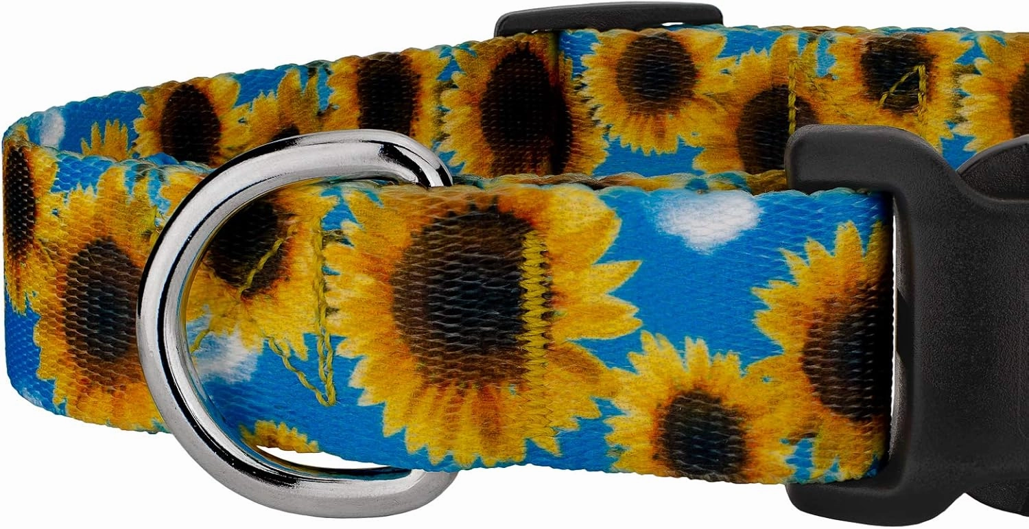 Country Brook Petz - Deluxe Sunflowers Dog Collar and Leash - Floral Collection Featuring Charming Designs (1 Inch, Medium)