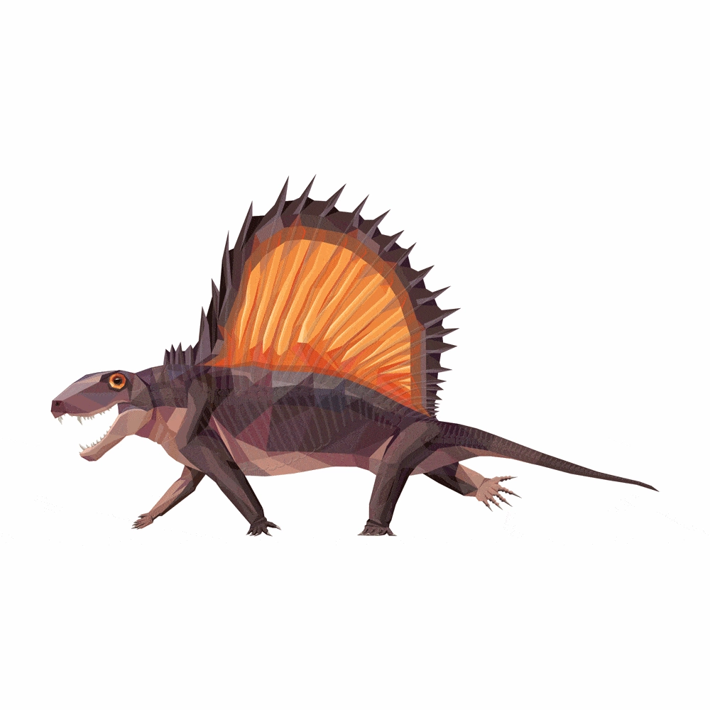 Dimetrodon X-Ray 3D Collectible Synapsid Card