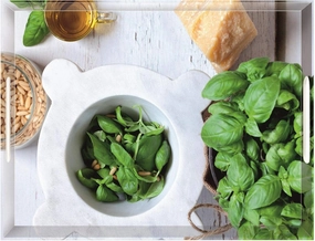 Emsa "Basil" Classic Tray, 15.75 x 12.20", Multicolor
