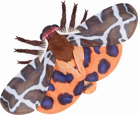 FRANKIEZHOU Realistic Garden Tiger Moth Plush - Brown 10 Inch, Soft Beautiful Moth Stuffed Animal, Girls & Kids Moth Toy, Home Decor, Cuddle Toy