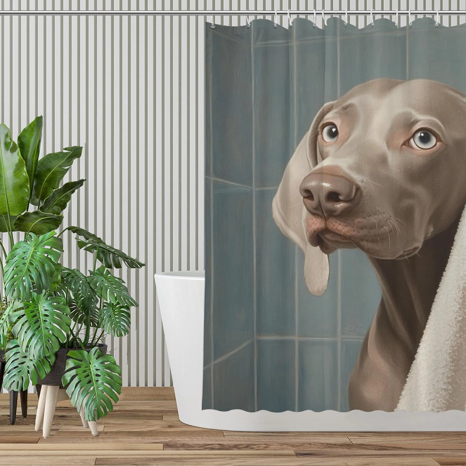 Funny Dog Cute Weimaraner Shower Curtain Durable Waterproof Fabric Bathtub Sets Home Fabric Bathroom Shower Curtain Set with Hooks 72x72 Inch