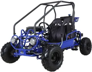 HHH Gokart GK125 is a125CC Gokart Fully Automatic Gas 2 Seater Kandi Mini Raptor gokart with Reverse for Youth (Blue)