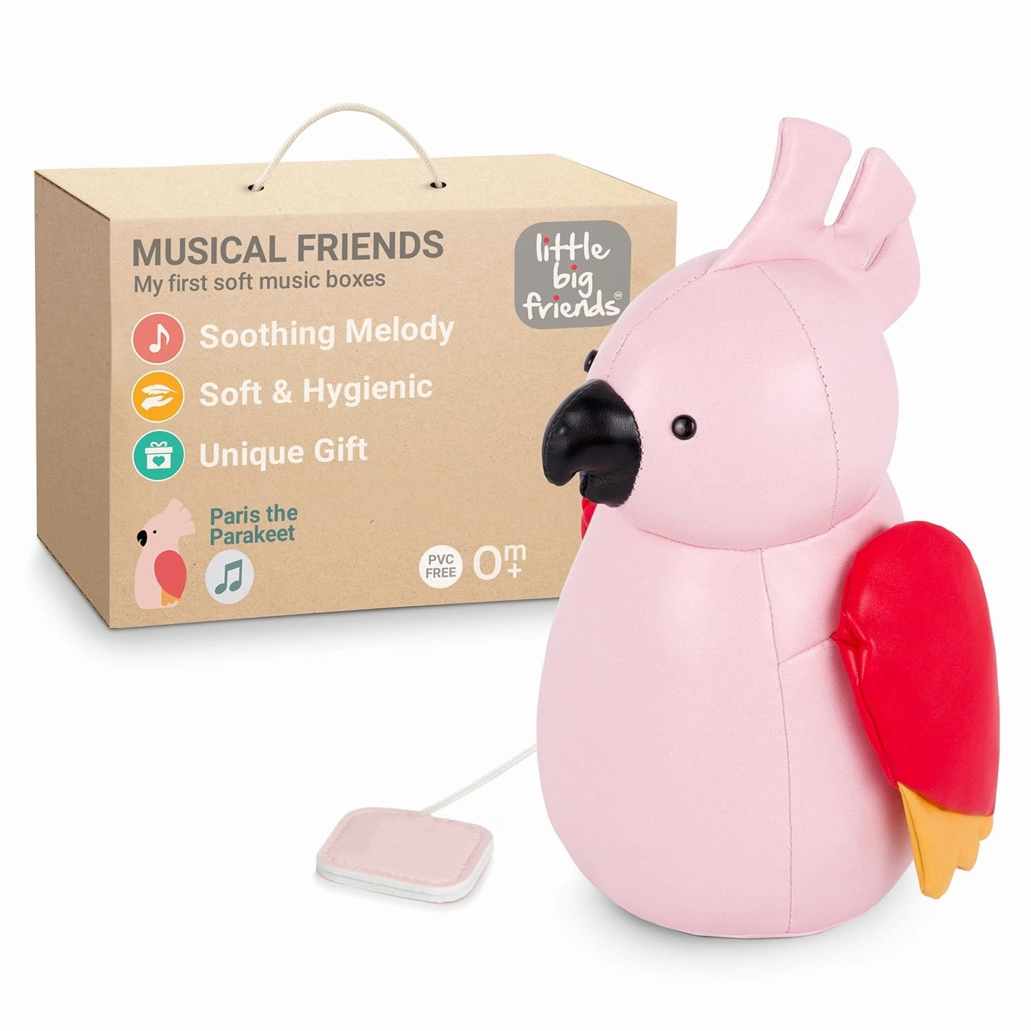 Little Big Friends Musical Friends | Pull String Cord Musical Toy for Baby | Special Stuffed Animal | Easy to Clean | Paris The Parakeet