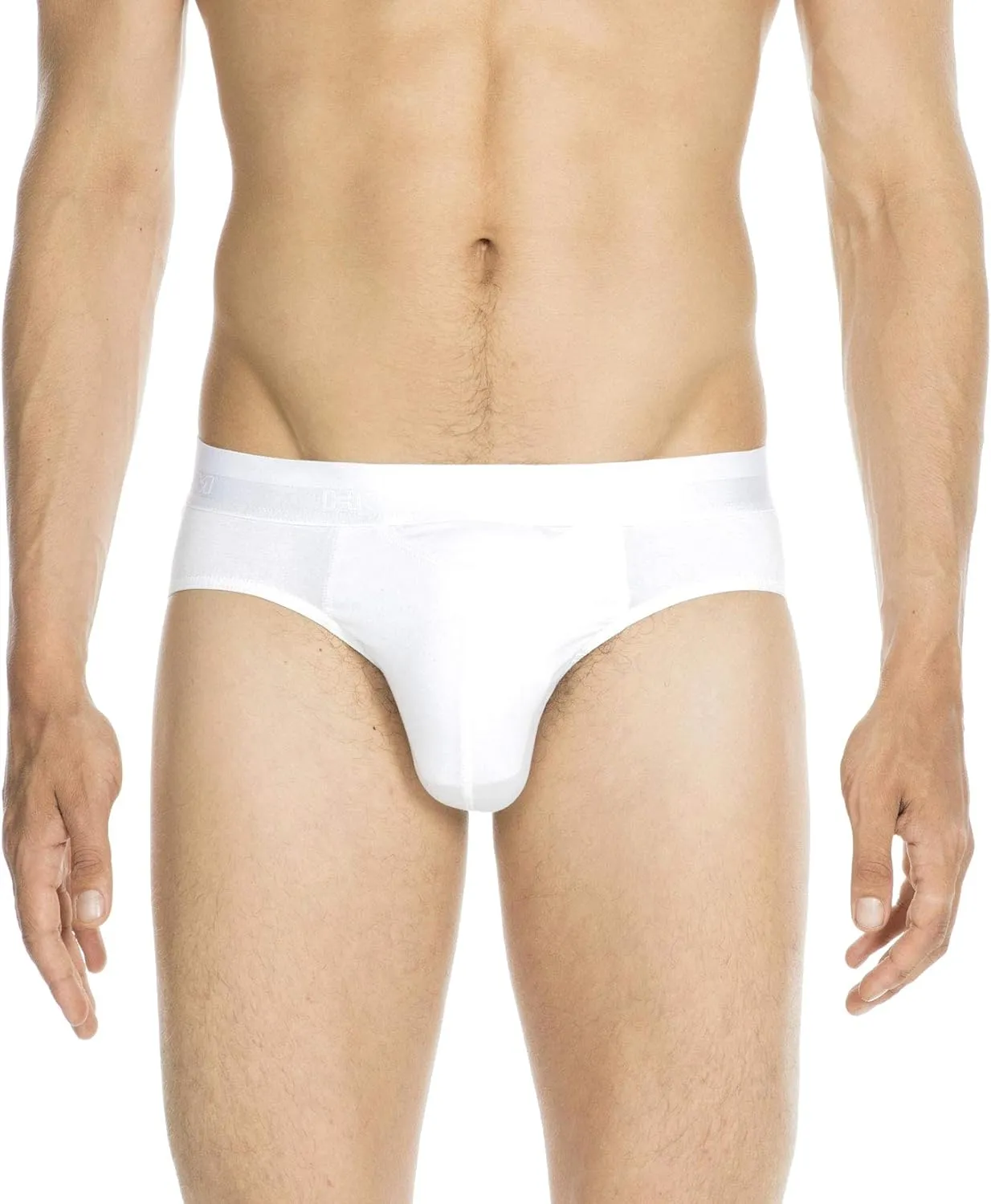 Men's Ho1 Mini Briefs 359521
