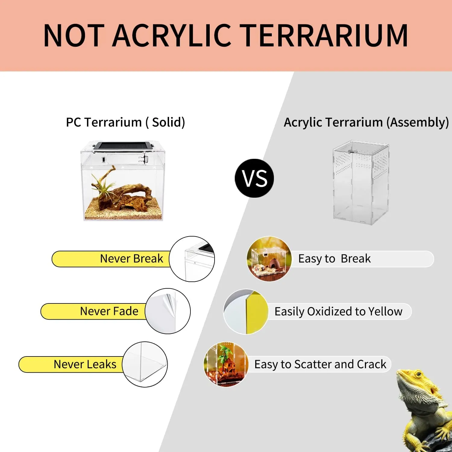 Mini Reptile Terrarium,8" x 8"x 8" Reptile Tank with Full View Visually Appealing，for Insect，Fish，Tarantula，Hermit Crab，Jumping Spider，Iguana，Tortoise，Leopard Gecko，Frog，Bearded Dragon