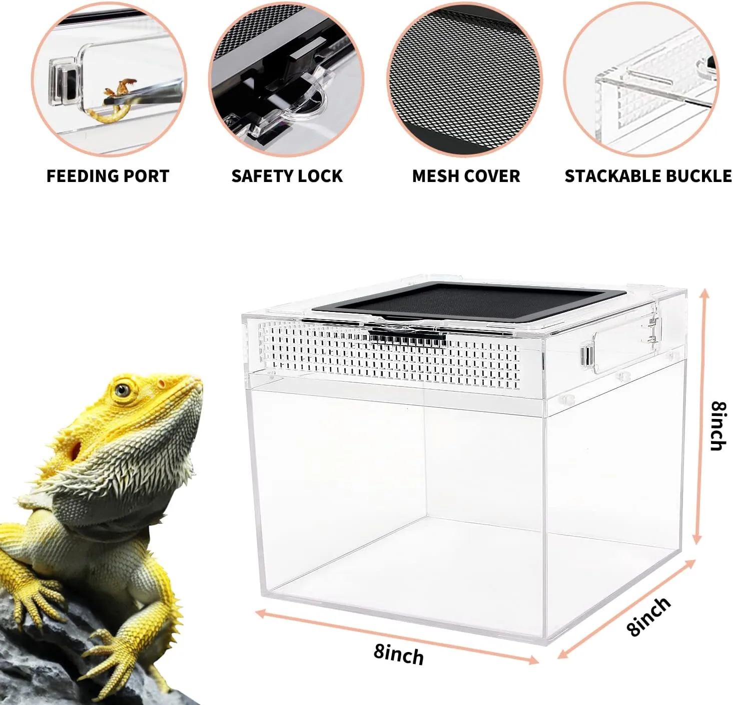 Mini Reptile Terrarium,8" x 8"x 8" Reptile Tank with Full View Visually Appealing，for Insect，Fish，Tarantula，Hermit Crab，Jumping Spider，Iguana，Tortoise，Leopard Gecko，Frog，Bearded Dragon