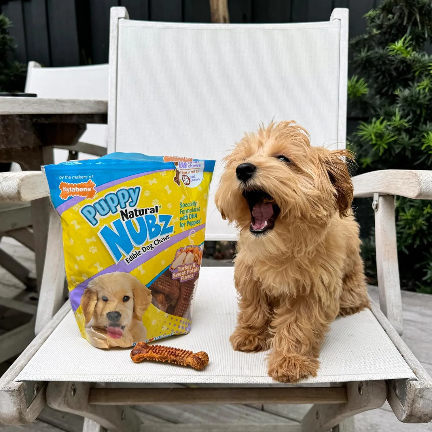 Nylabone Nubz Natural Edible Dog Chew Treats for Puppies, Long Lasting Dog Bones Made in USA, Turkey & Sweet Potato Flavor, for Puppies Up to 25 lbs. (28 Count)