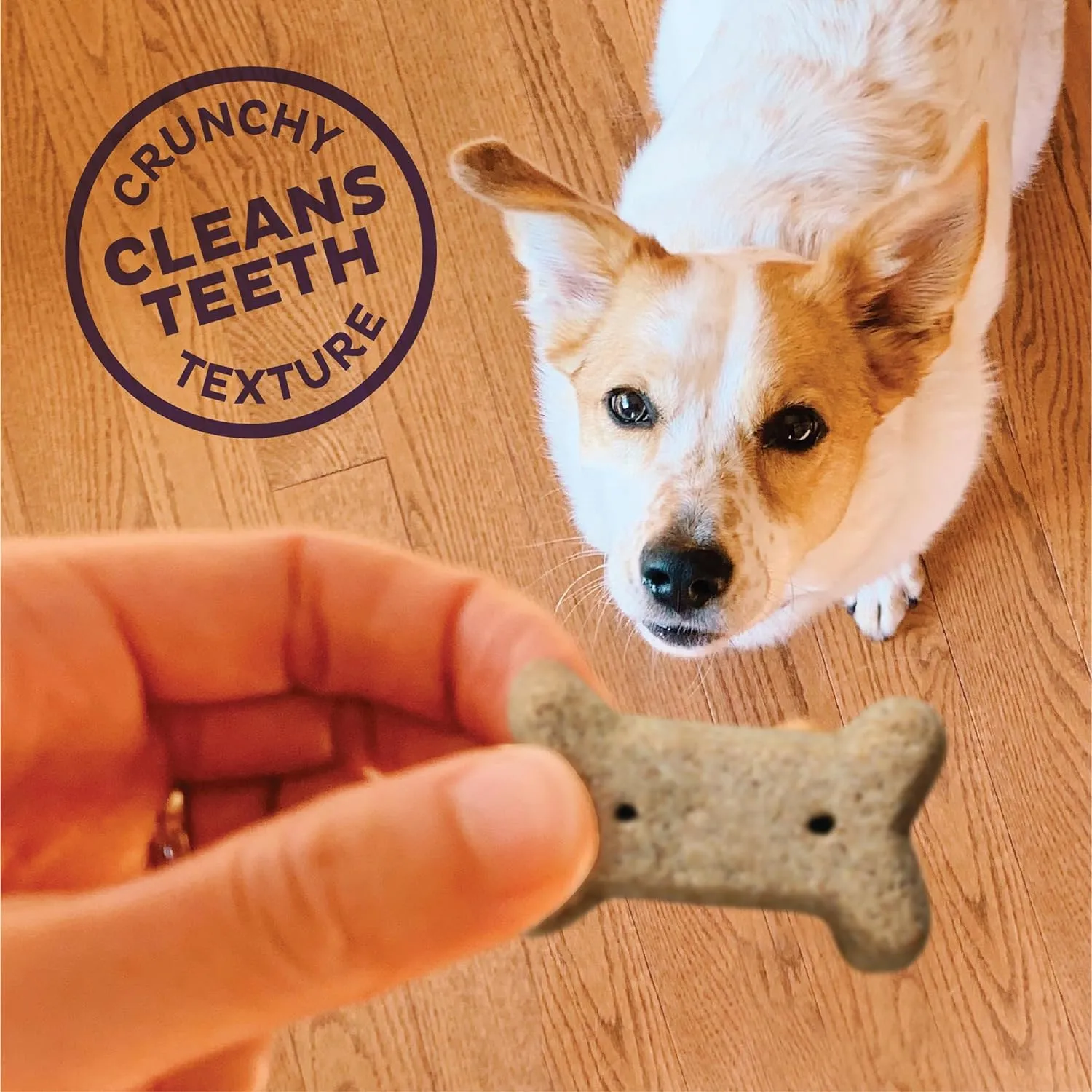 Old Mother Hubbard Wellness Original Mix Dog Biscuits, Natural, Training Treats, Four Flavors, Small Size, (6 Pound Bag)