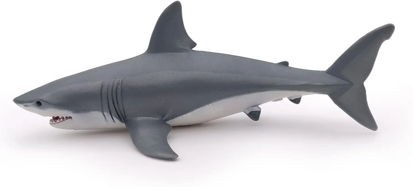 Papo - hand-painted - figurine - Marine Life - White Shark Figure-56002 - Collectible - For Children - Suitable for Boys and Girls - From 3 years old