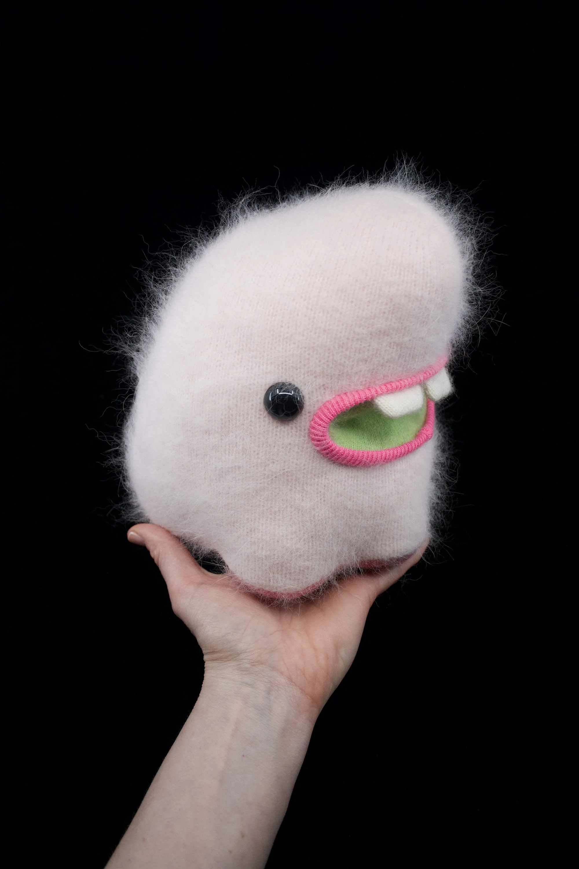 Pinky-Poo the fluffy angora monster