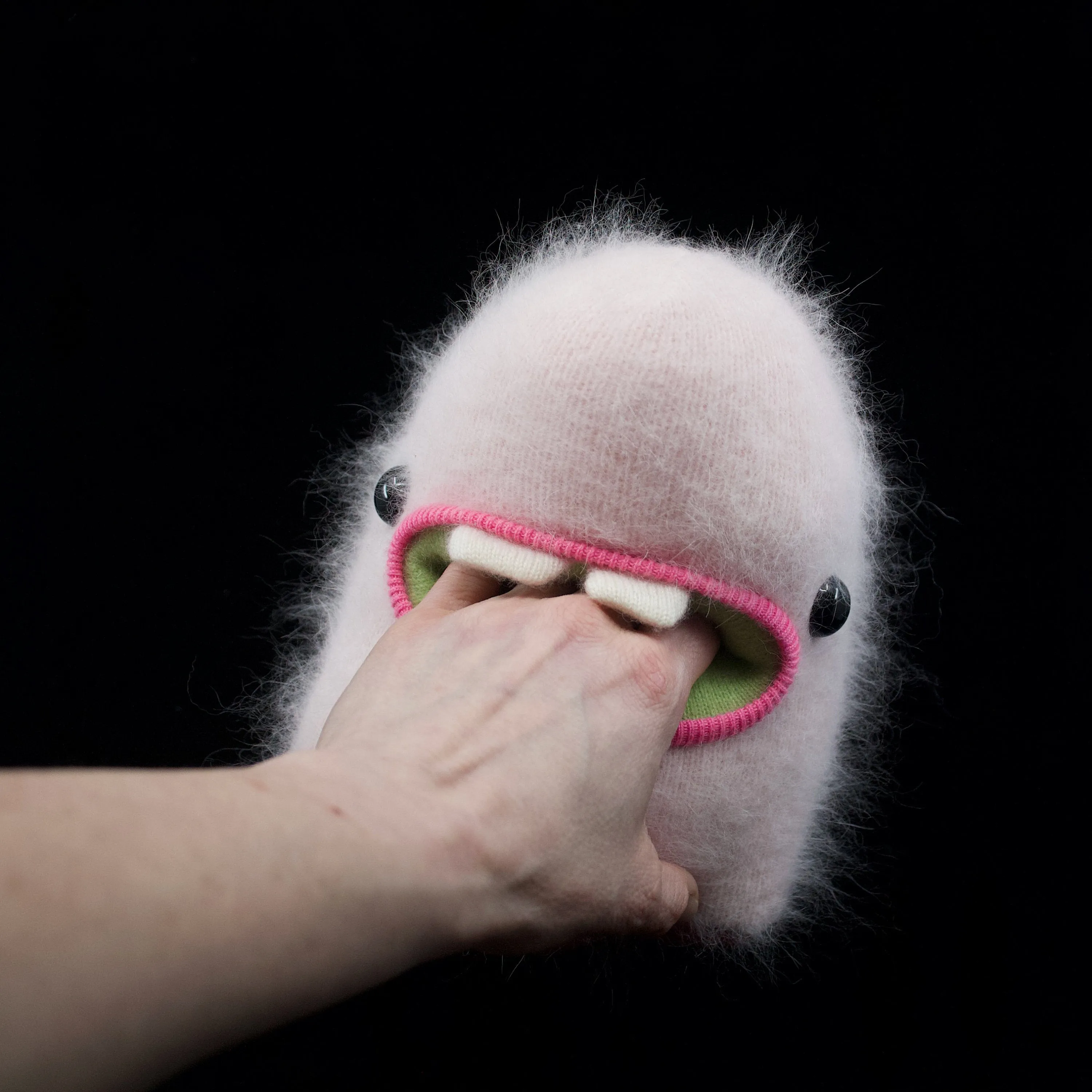 Pinky-Poo the fluffy angora monster