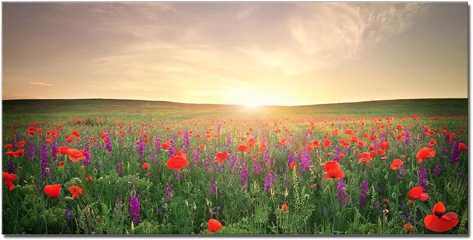 QBQT Large Grassland Landscape Sun Light Red Flowers Wall Art Office Living Room Artwork for Kitchen Decor Frame 24x48inch