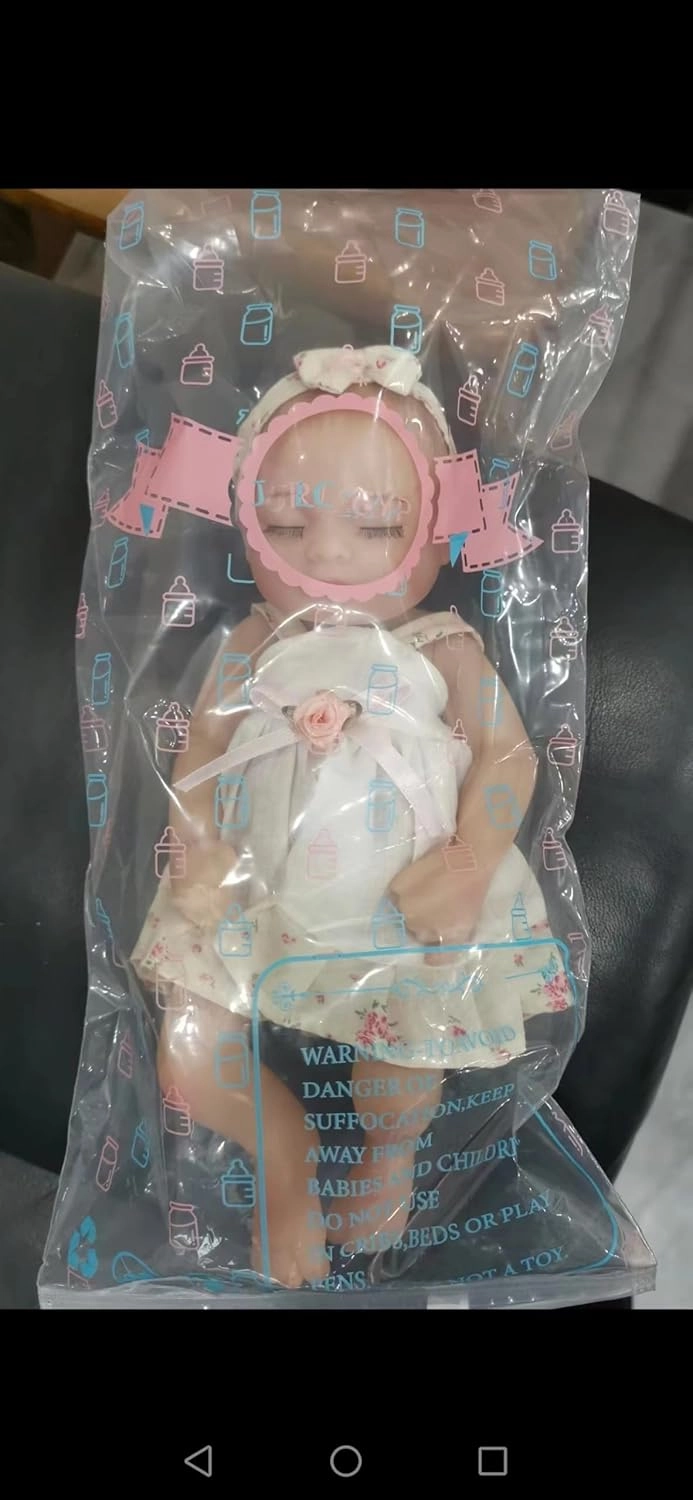 Reborn Baby Girl Doll, 10 Inches Realistic Newborn Soft Vinyl Baby Dolls Toy with Flower Dress, Birthday Baby Doll Gift for Kids Age 3  …