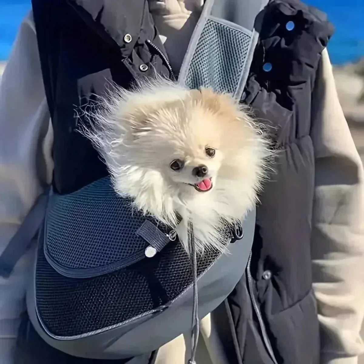 Reflective Pet Sling Carrier