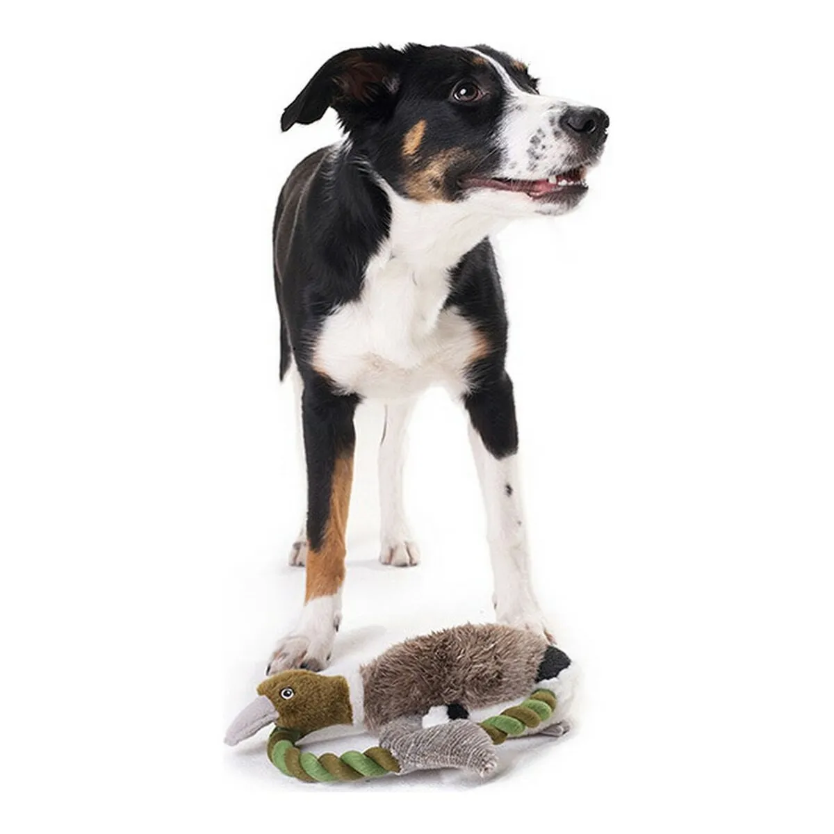 Soft Toy for Dogs Hunter Wildlife Train with String Duck 26 Cm