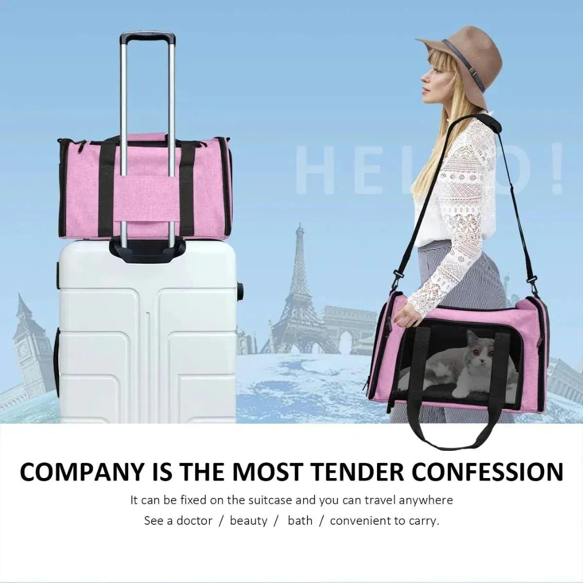 Under Paws™ TSA Approved Pet Carrier